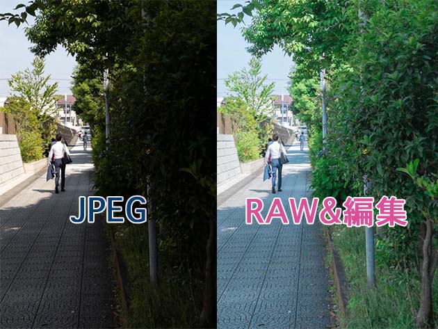 JPEGとRAW撮影の比較