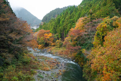 多摩川と紅葉