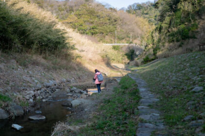 関根川親水遊歩道