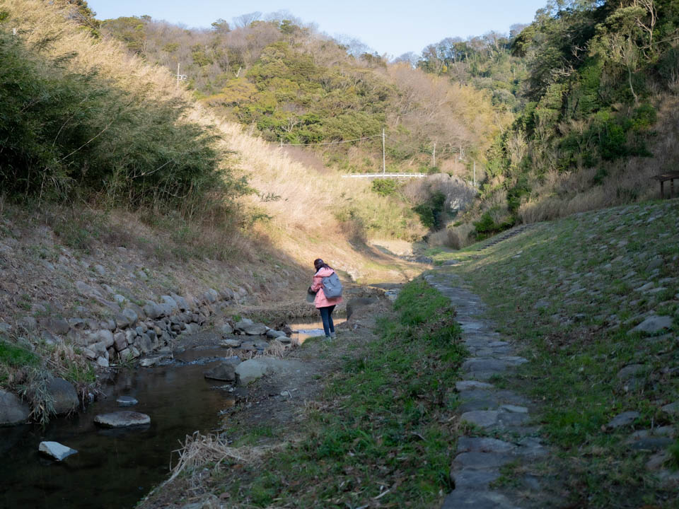 関根川親水遊歩道