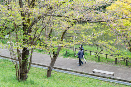 公園の池沿いを歩く年配の男女