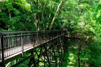 あつぎこどもの森公園の空中回廊