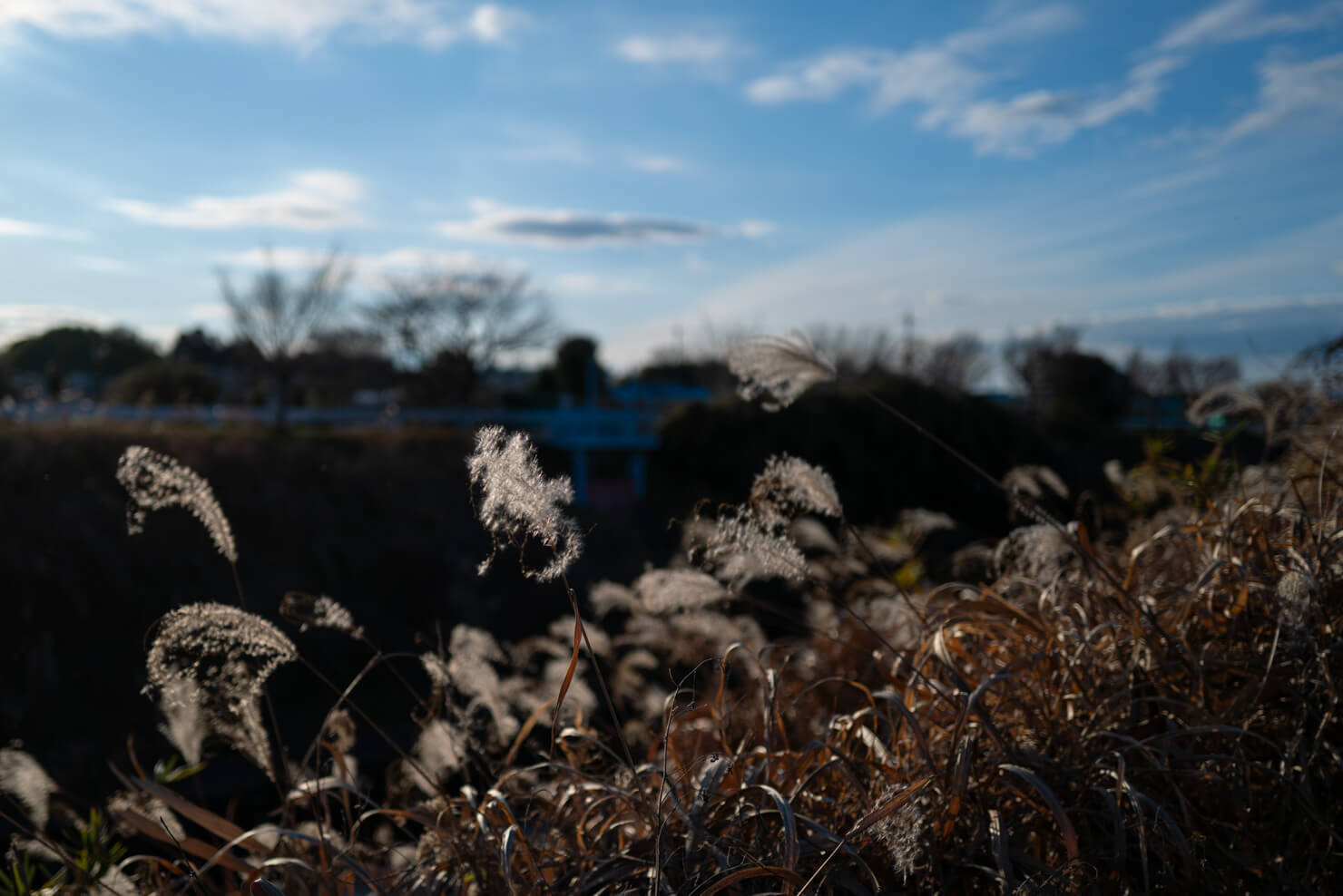 坂や丘のある町 walk along