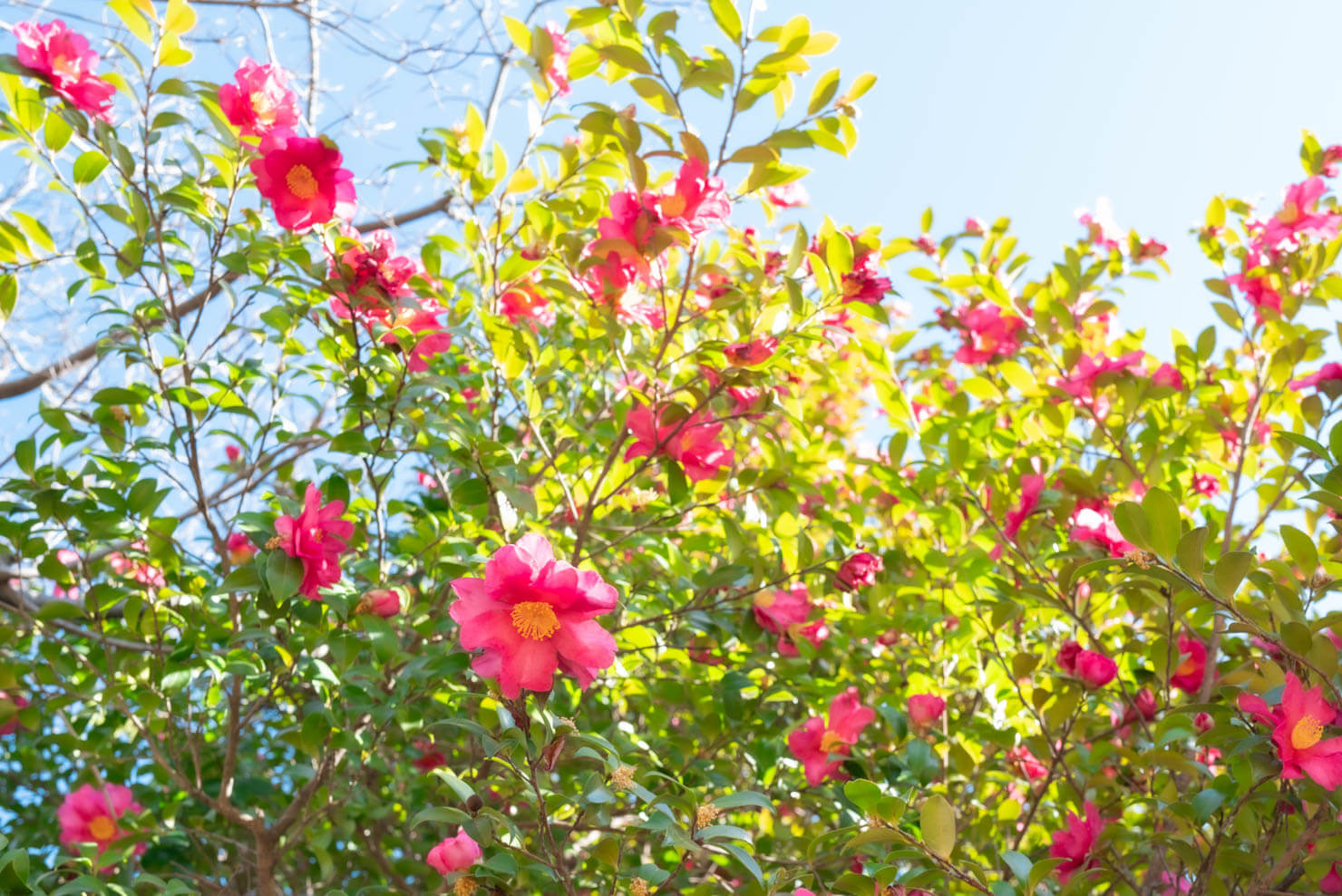 坂や丘のある町 walk along