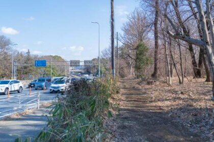 国道246号と泉の森