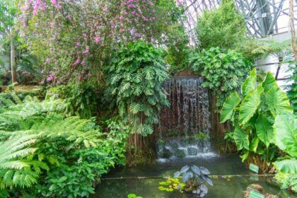 夢の島熱帯植物館の滝