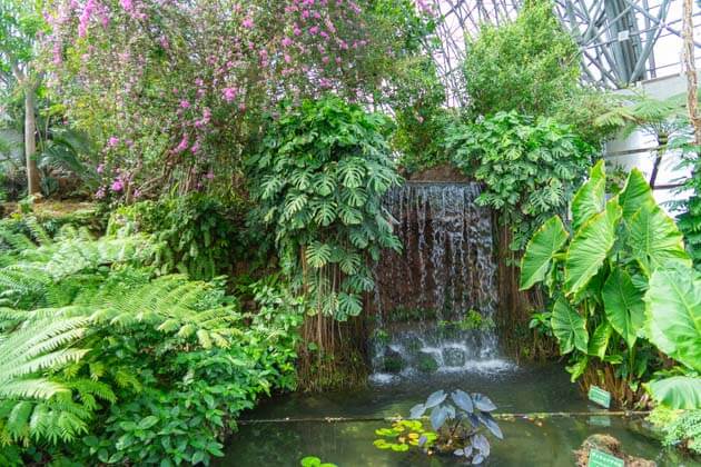 夢の島熱帯植物館の滝