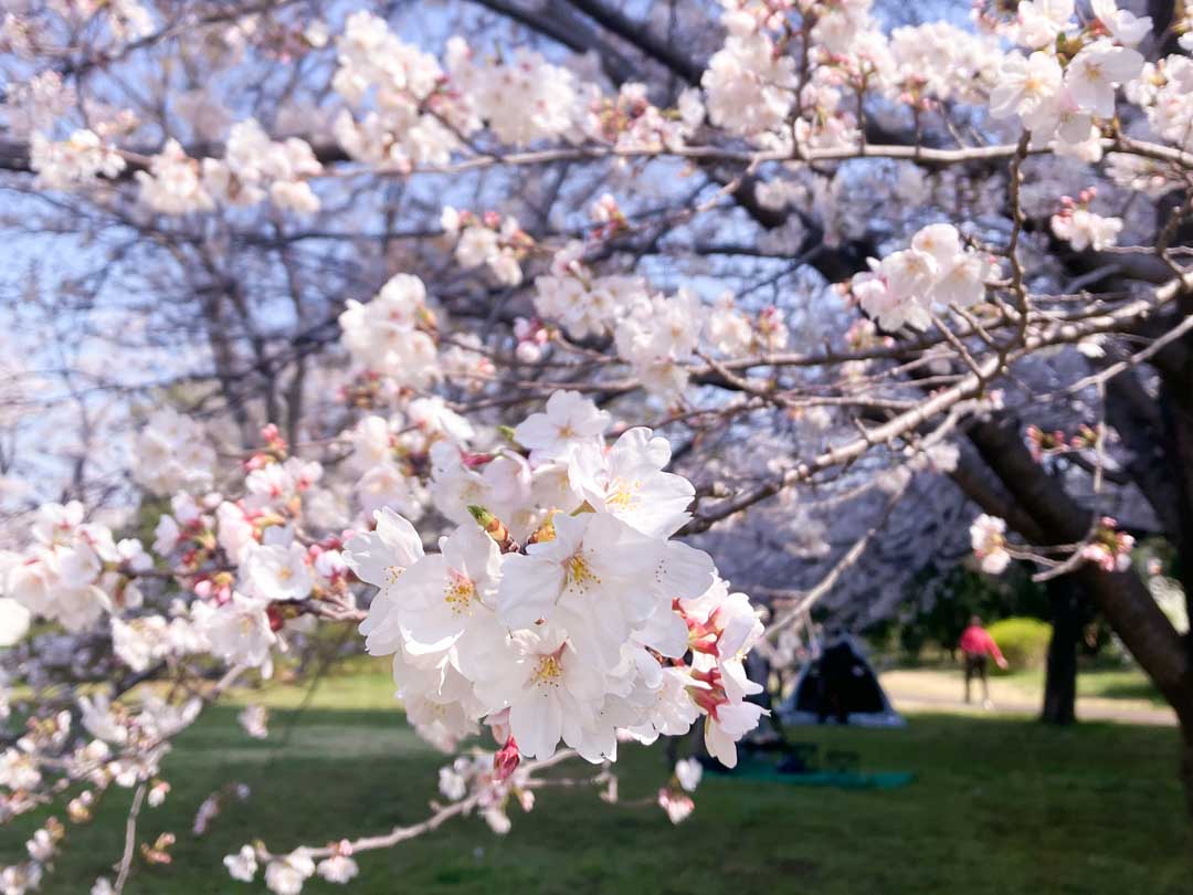 坂や丘のある町 walk along