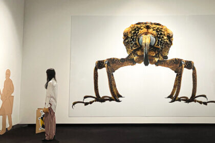 東京都写真美術館虫展