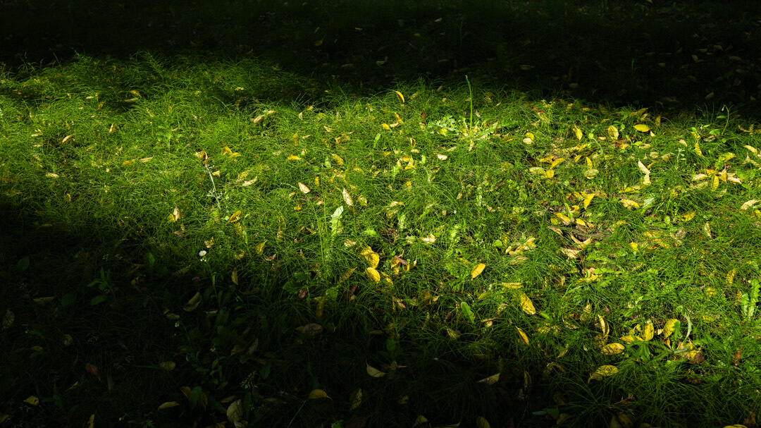 坂や丘のある町 walk along