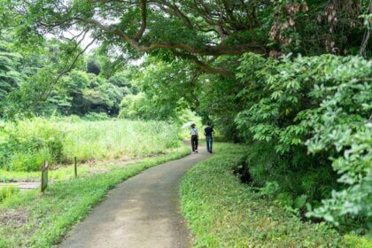 鎌倉広町緑地の遊歩道
