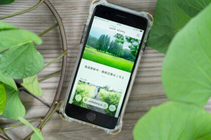 スマホが木製ベンチの上に置かれ、周囲に蔓性植物の緑の葉が見える