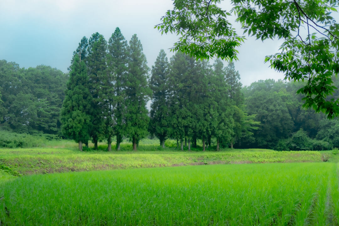 坂や丘のある町 walk along