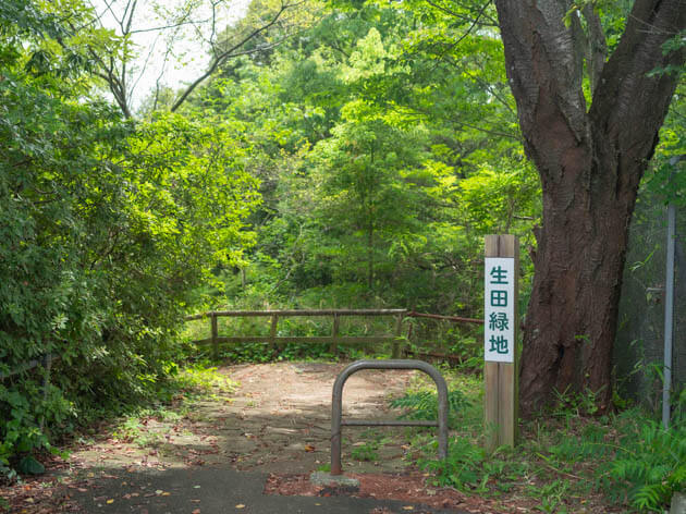 生田緑地入り口